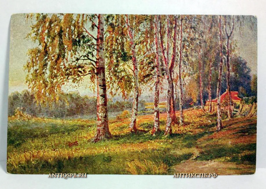 Открытка "Плакучая береза". СССР. 1930-40гг. №445